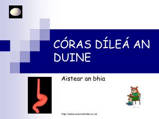 CÓRAS DÍLEÁ AN DUINE