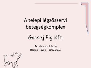A telepi légzőszervi betegségkomplex