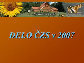 DELO ČZS v 2007