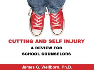 Cutting and Self Injury A Review For School Counselors