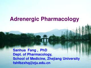 Adrenergic Pharmacology