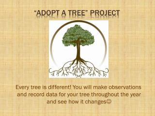 “Adopt A Tree” Project