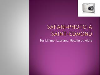 Safari-photo à Saint-Edmond