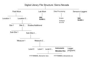 Digital Library File Structure: Sierra Nevada