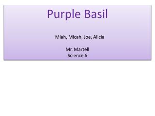 Purple Basil Miah , Micah, Joe, Alicia Mr. Martell Science 6