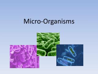 Micro-Organisms