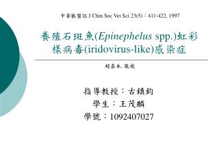 養殖石斑魚 ( Epinephelus spp.) 虹彩樣病毒 (iridovirus-like) 感染症