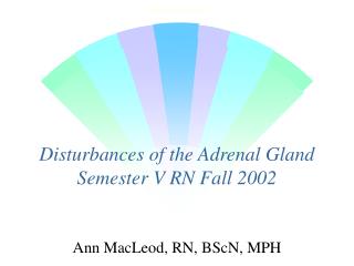 Disturbances of the Adrenal Gland Semester V RN Fall 2002
