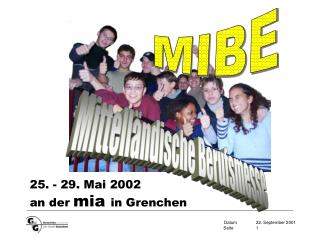 MIBE
