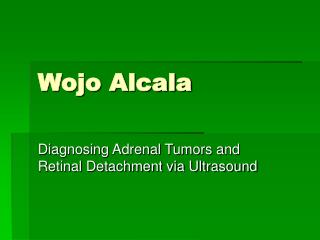 Wojo Alcala