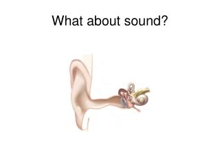 What about sound?