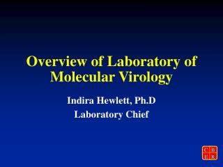 Overview of Laboratory of Molecular Virology