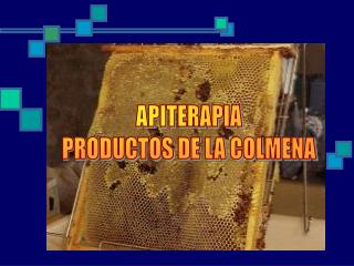 APITERAPIA PRODUCTOS DE LA COLMENA