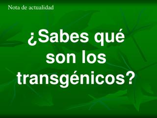 ¿Sabes qué son los transgénicos?