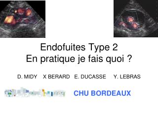 Endofuites Type 2 En pratique je fais quoi ?