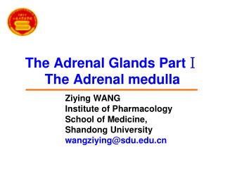 The Adrenal Glands Part Ⅰ The Adrenal medulla