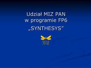 Udział MIZ PAN w programie FP6 „SYNTHESYS”