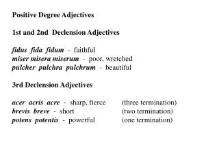 Positive Degree Adjectives 1st and 2nd Declension Adjectives fidus fida fidum - faithful