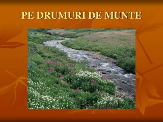 PE DRUMURI DE MUNTE