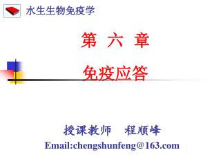 授课教师 程顺峰 Email:chengshunfeng@163