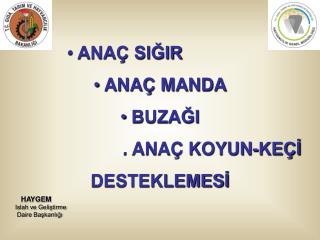 ANAÇ SIĞIR ANAÇ MANDA BUZAĞI . ANAÇ KOYUN-KEÇİ DESTEKLEMESİ