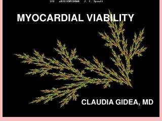 CLAUDIA GIDEA, MD