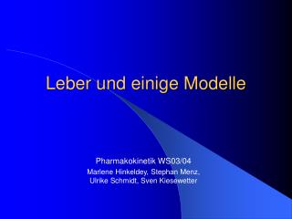 Leber und einige Modelle