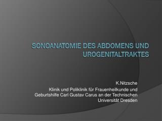 Sonoanatomie des Abdomens und Urogenitaltraktes