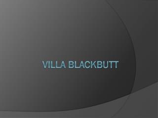 Villa Blackbutt