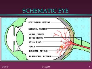 SCHEMATIC EYE