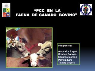 Integrantes: Alejandra Lagos Cristian Donoso Eduardo Moreno Pamela Lara Tatiana Zegers