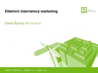 Efektivní internetový marketing