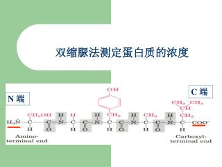 双缩脲法测定蛋白质的浓度