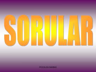 SORULAR