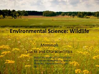 Environmental Science: Wildlife