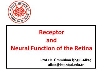 Receptor and Neural Function of the Retina