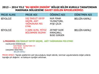 1.PROJEMİZ: DIŞ İSKELET DEYİP GEÇME, ASİT YAĞMURUNA PES ETME!