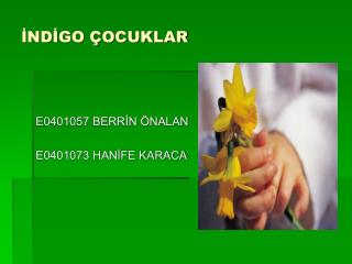 İNDİGO ÇOCUKLAR