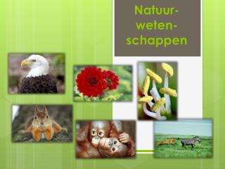 Natuur- weten-schappen