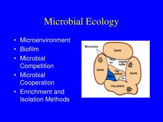 Microbial Ecology