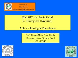 BIG 012 -Ecologia Geral C. Biológicas (Noturno) Aula - 7 Ecologia Microbiana