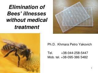 Elimination of Bees’ illnesses without medical treatment