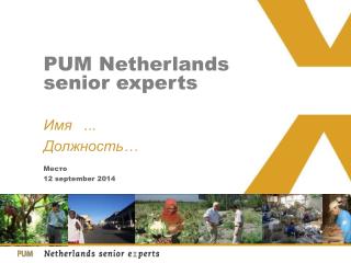 PUM Netherlands senior experts