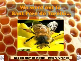 We went out to Sant Pere de Torelló...