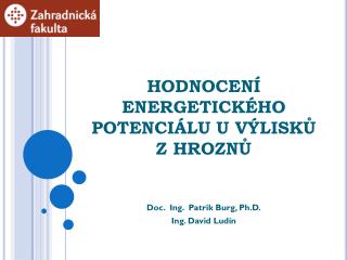 Hodnocení energetického potenciálu u výlisků z hroznů