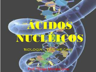 ÁCIDOS NUCLÉICOS