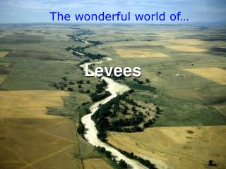 Levees