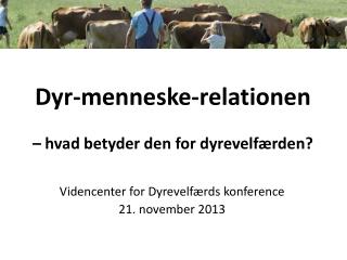 Dyr-menneske-relationen – hvad betyder den for dyrevelfærden?