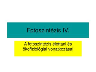 Fotoszintézis IV.