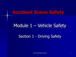 Accident Scene Safety